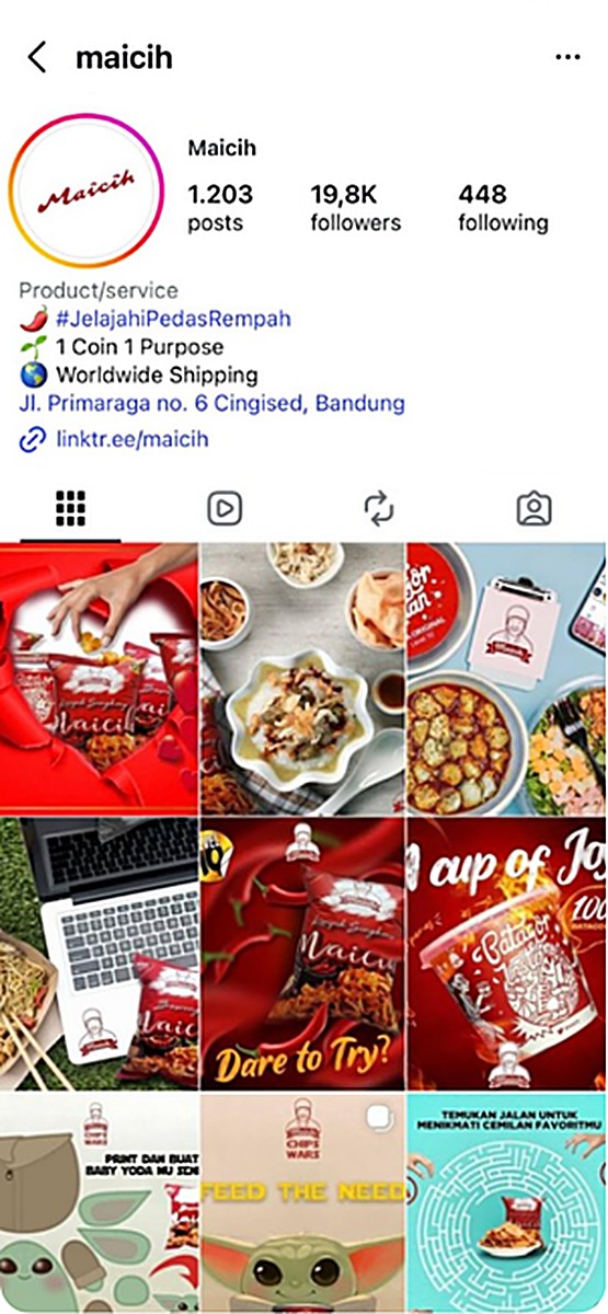 Maicih Instagram feed